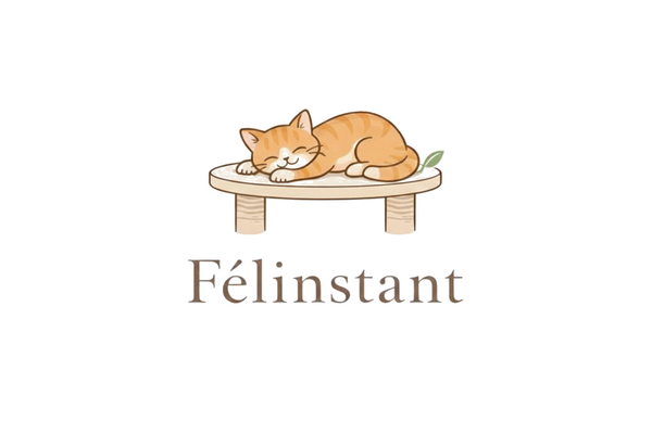 Félinstant